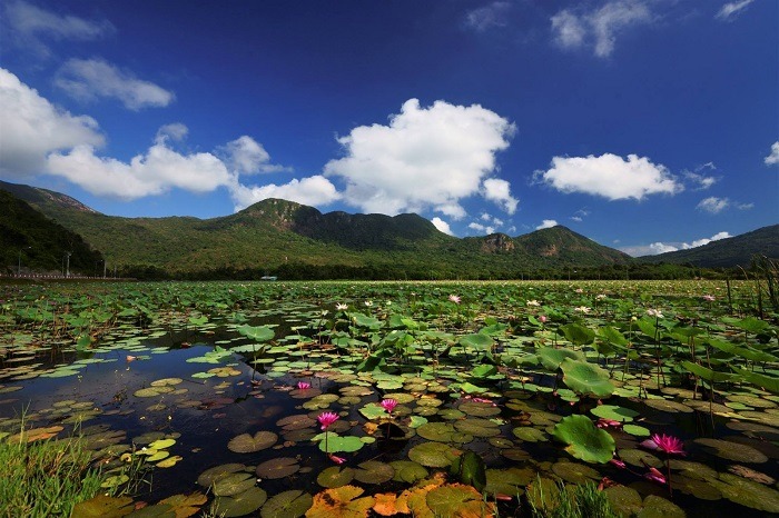 Hệ sinh thái nước ngọt